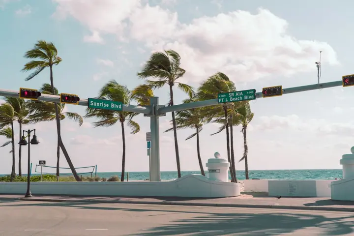 Palm trees at Sunrise Boulevard and A1A in Fort Lauderdale